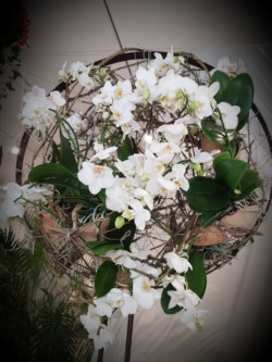 Blumen Gloning