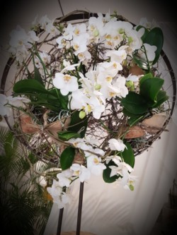 Blumen Gloning