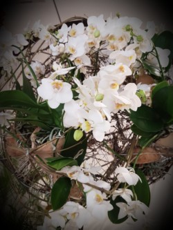 Blumen Gloning
